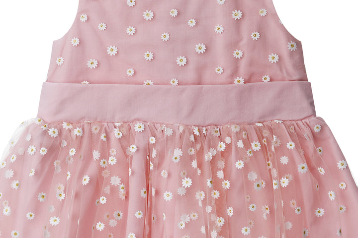 Pink Dress