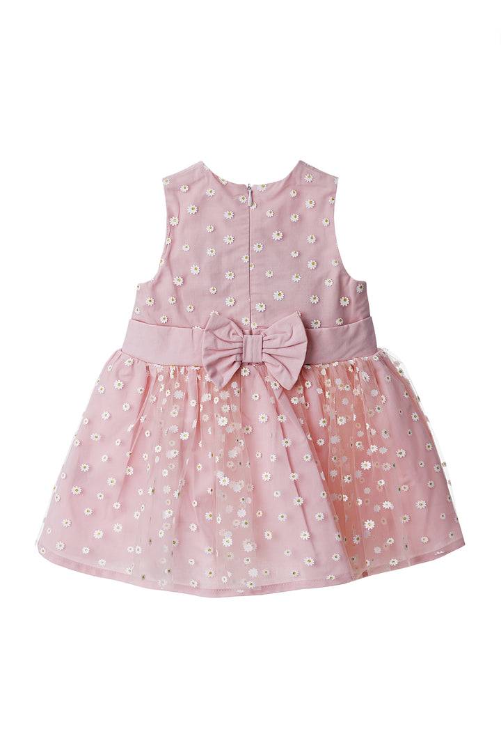 Pink Dress