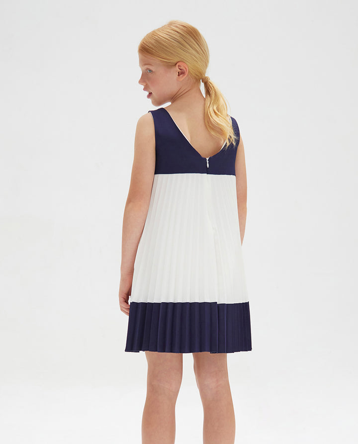 Navy Blue and White Dress