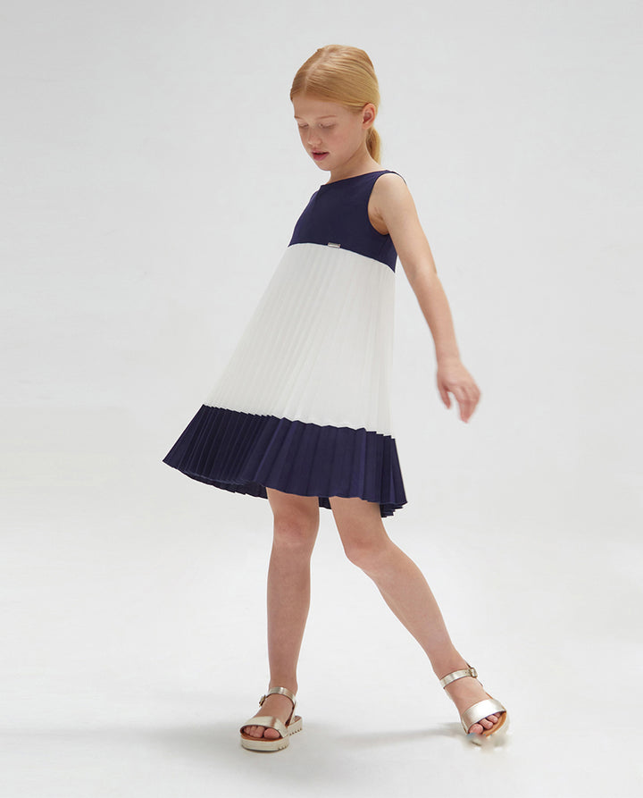 Navy Blue and White Dress