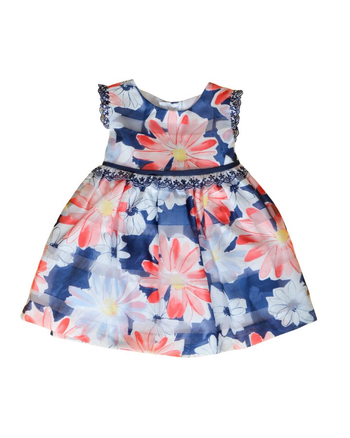 Blue and Red Floral Baby Dress