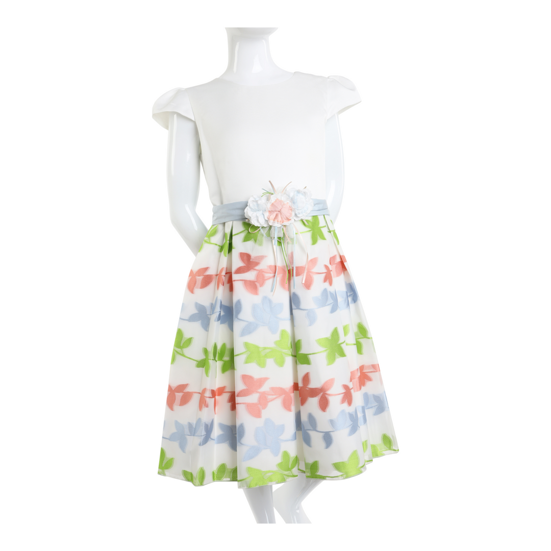 Multi color dress