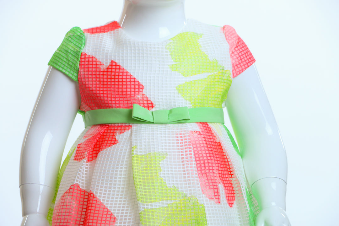 COLOR DRESS