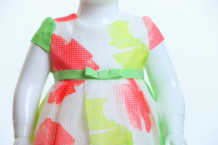 COLOR DRESS