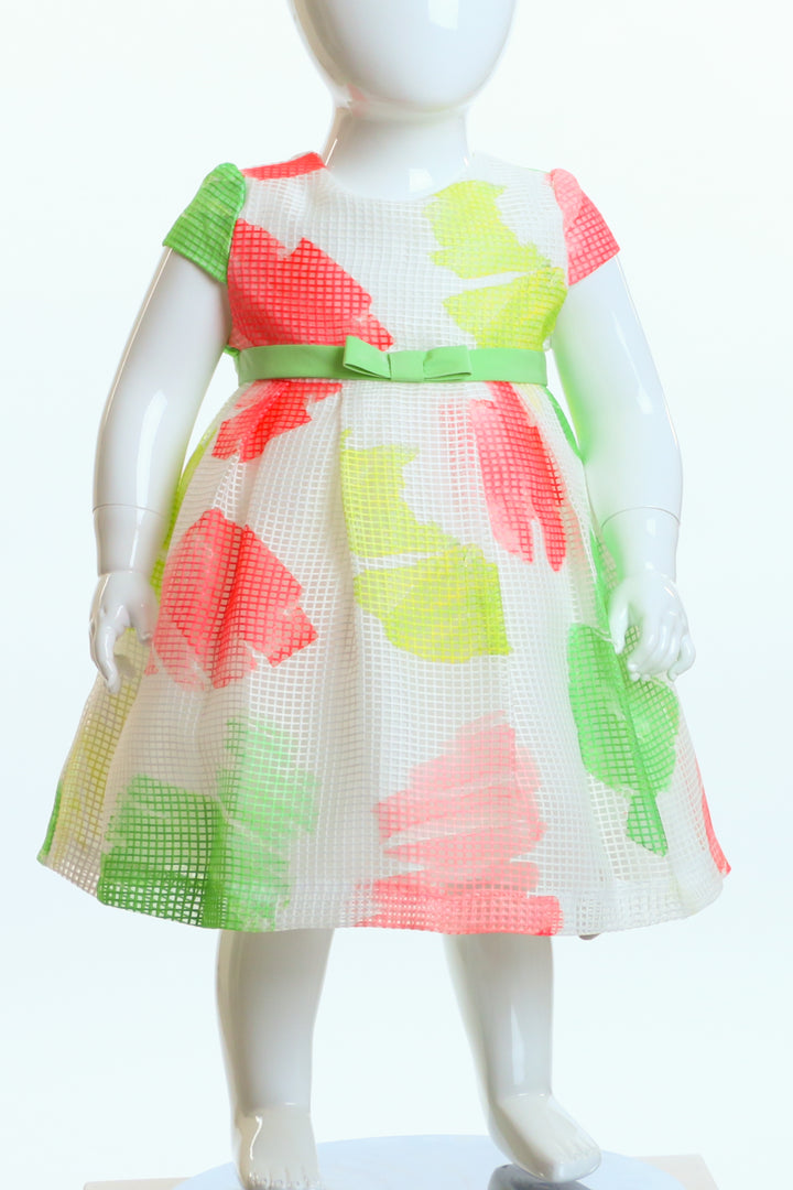 COLOR DRESS