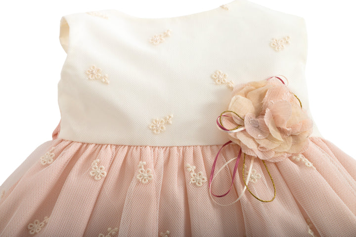 Pink and Beige Dress