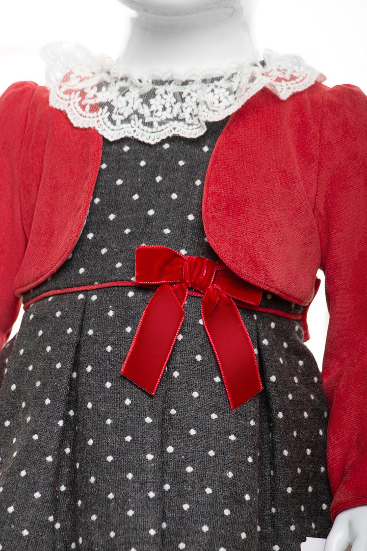 Grey and Red Dress