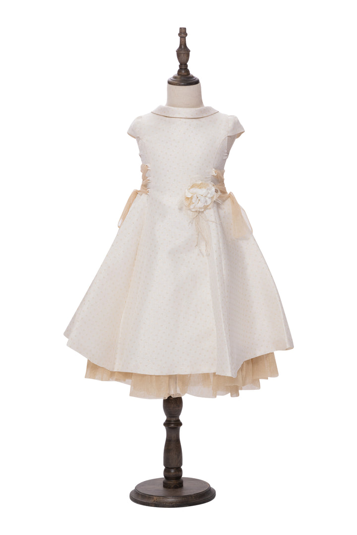 Beige Dress with Golden Tulle