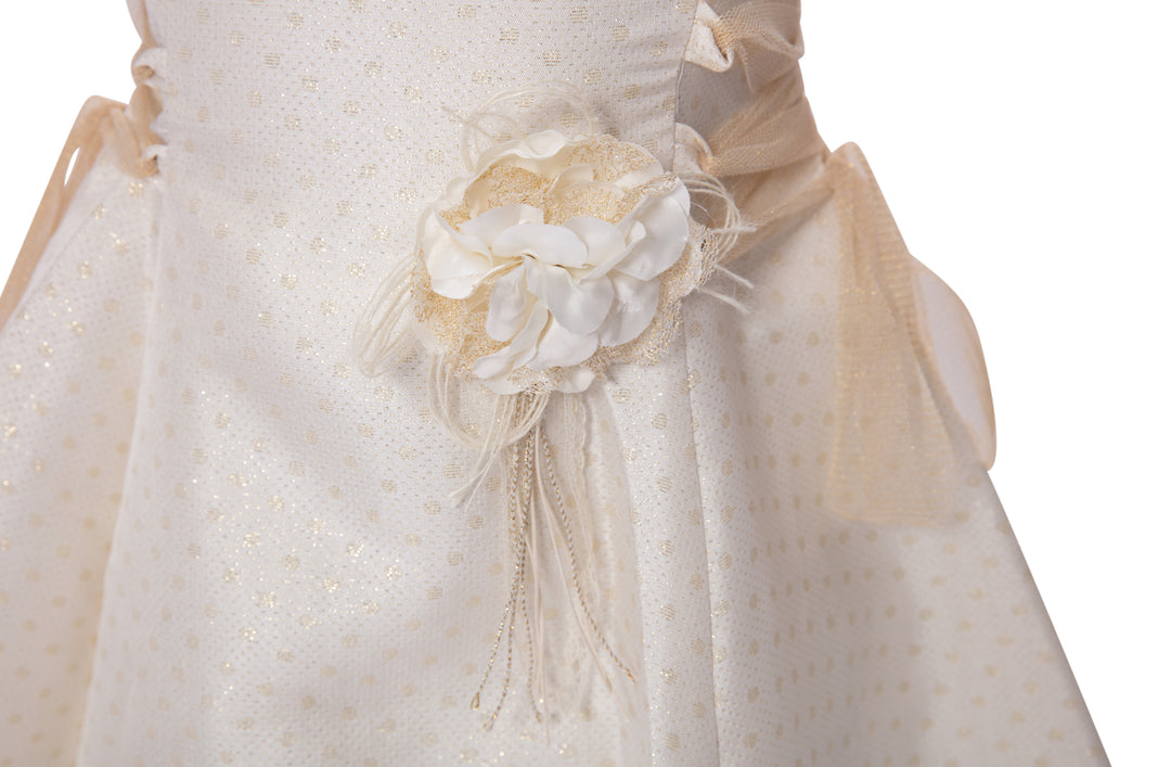 Beige Dress with Golden Tulle