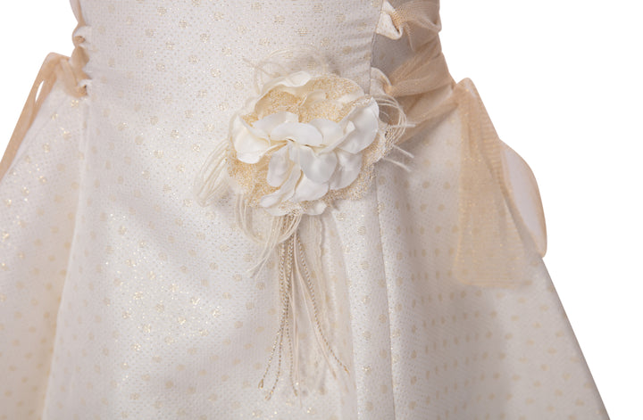 Beige Dress with Golden Tulle